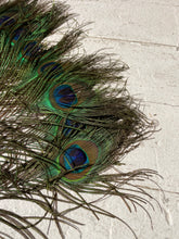Load image into Gallery viewer, Antique Vintage Peacock Feather Fan Bridal Accessory Wedding Deco