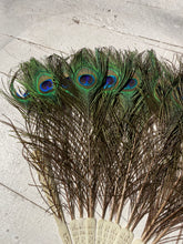 Load image into Gallery viewer, Antique Vintage Peacock Feather Fan Bridal Accessory Wedding Deco