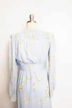 Load image into Gallery viewer, 1970s Maxi Dress Set Novelty Print Birds Young Innocent NOS S/ XS